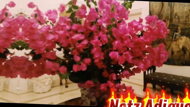 Pink Bougainvillea @ the entrance for the last garden diner смотреть онлайн