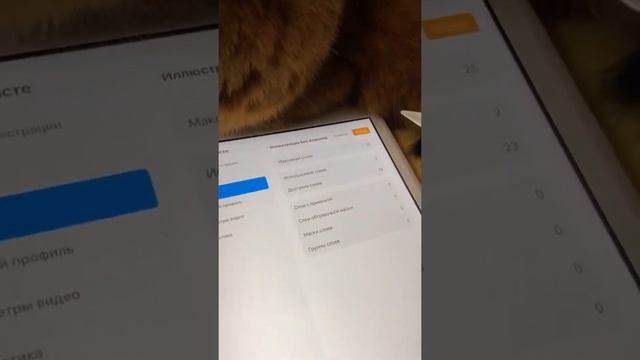 Как проверить количество слоев в Procreate ? смотреть онлайн