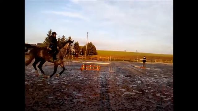 campino смотреть онлайн