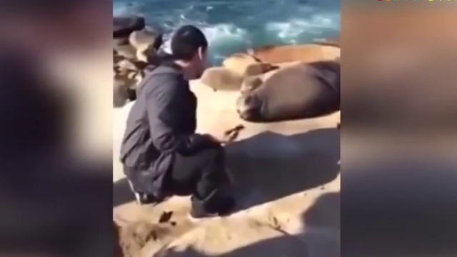 Идиот - звучит гордо! смотреть онлайн