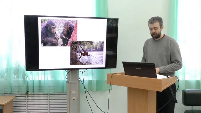 Онлайн-лекция: "Поведение животных от мала до велика" смотреть онлайн