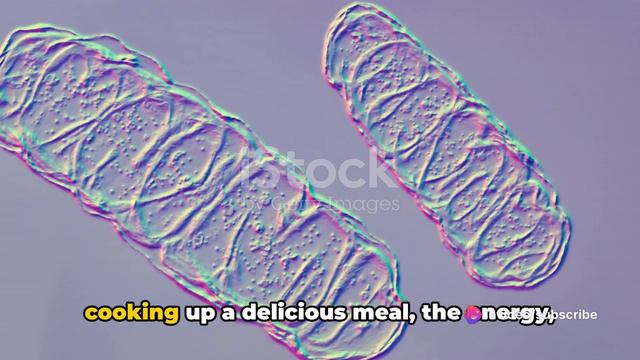 Cell Organelles and their Functions || Cell Biology Part-3 смотреть онлайн
