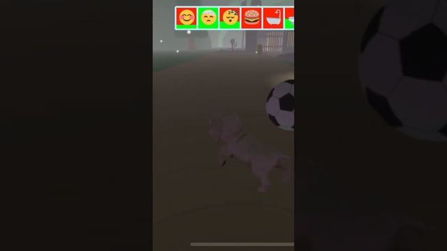 Pet Party ? Roblox ##roblox #shorts смотреть онлайн