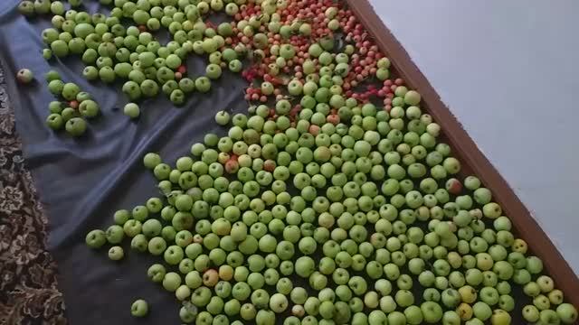 Дмитрий из Орла