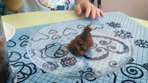 СЪЕДОБНЫЕ КАКАШКИ. Пранк с какашками. ШКОЛА ДИНОЗАВРИКА ИГОРЁШИ