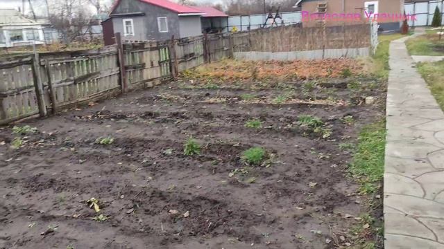 Навестил дачу! смотреть онлайн