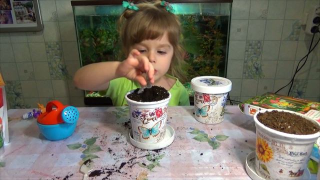 КЛУБНИЧКА, ПОДСОЛНУХ, КОЛОКОЛЬЧИКИ, ГОРОШЕК... наш МИНИ САДИК, садим разные растения:))) смотреть онлайн
