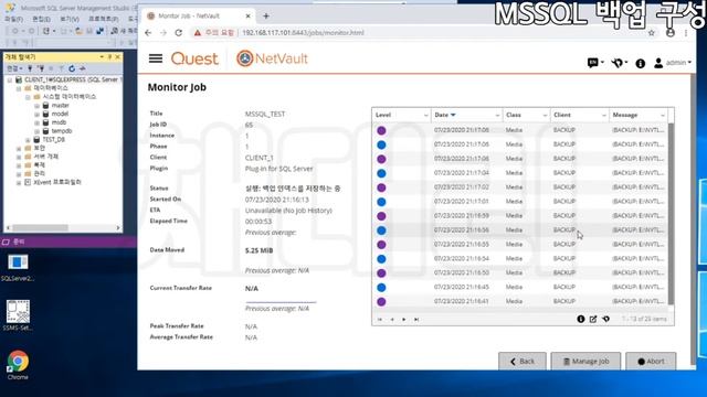 06. Quest NetVault Backup 12.4 MSSQL 백업 / 복원 смотреть онлайн