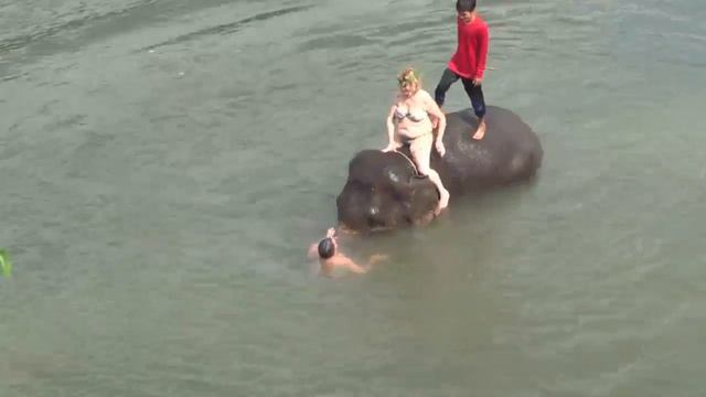 Купание со слоном смотреть онлайн