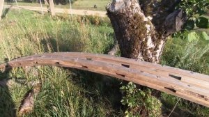 Теплица с готической аркой