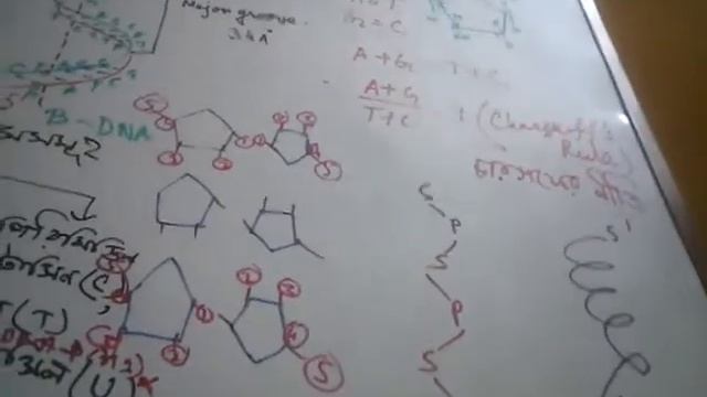 Journey through chromosome & DNA смотреть онлайн