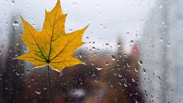 Сергей Ершов - Капелька Дождя смотреть онлайн