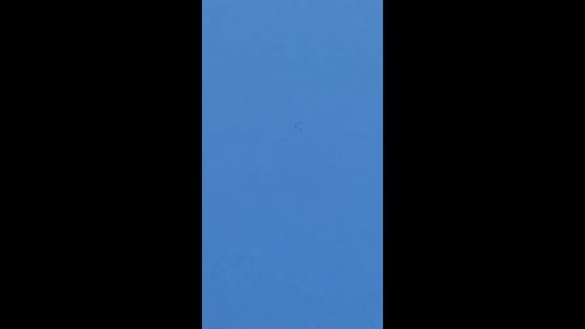 Голуби.Полёт голубей моего знакомого из Калужской Области смотреть онлайн