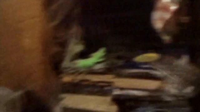 ПРОРОК САНБОЙ. ГОРЯЧАЯ ШТУЧКА [ЧАСТЬ 2]