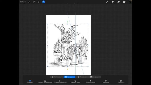 Как нарисовать растения в кашпо - Быстрый СКЕТЧ. Красивая ГРАФИКА. Procreate смотреть онлайн