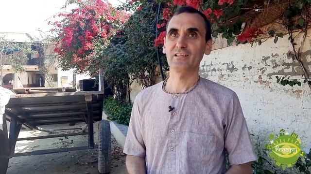 Как распознать настоящего мужчину? 23.02.2022 смотреть онлайн