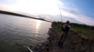 СУДАК НА НАРЕЗКУ и ЖИВЦА! Поймали и приготовили! ВЕЧЁРКА!