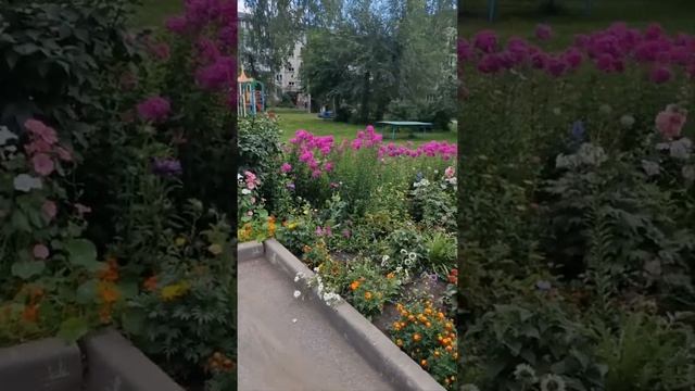 г.Кемерово ул.Мичурина 37 "А" Молодцы ?????? смотреть онлайн