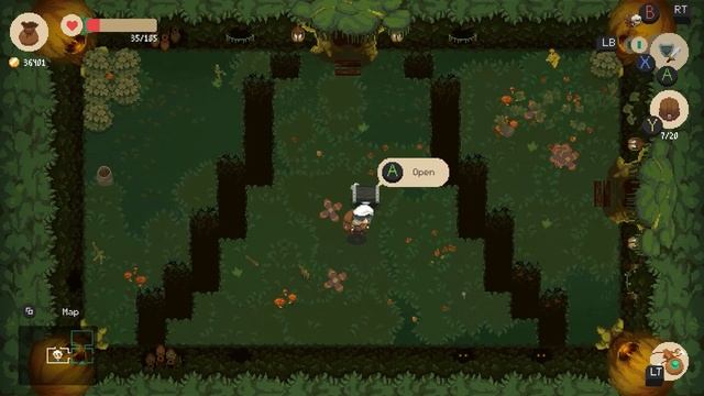 Ничего лишнего о Moonlighter смотреть онлайн