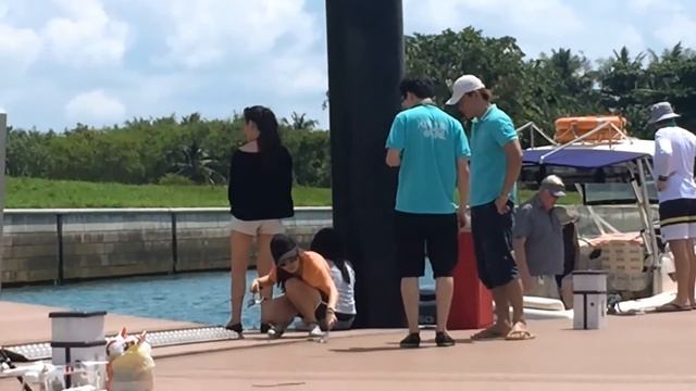 2015 Lazarus Fishing смотреть онлайн