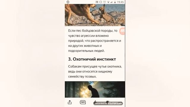 ПОЧЕМУ СОБАКИ НЕ ЛЮБЯТ КОШЕК? смотреть онлайн