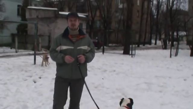 Первый урок кличка смотреть онлайн