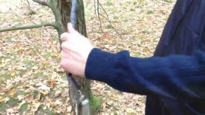 пила ленточная + пила проволочная