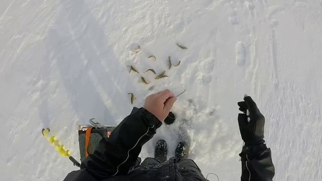 зимняя блесна Танго 50мм + зимняя удочка от Артуда/Winterlures смотреть онлайн