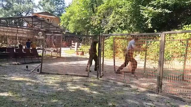 Тренировка в клубе Тактика-А Владикавказ смотреть онлайн