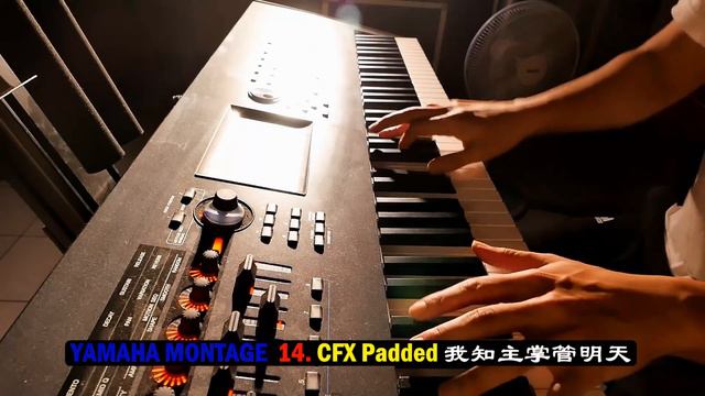 YAMAHA Montage 30 Demos No Talking / DDT смотреть онлайн