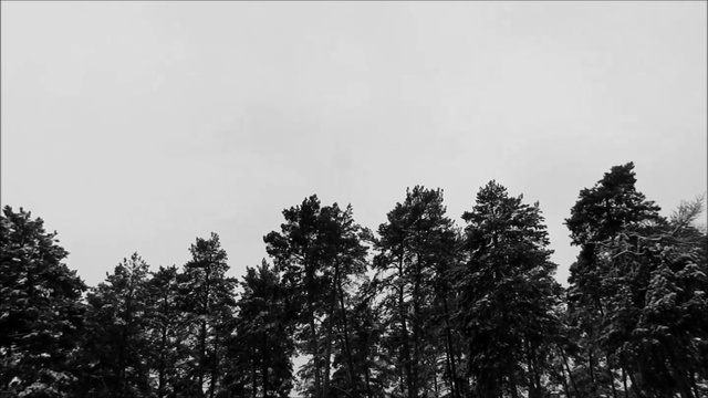 А я так верила тебе... смотреть онлайн