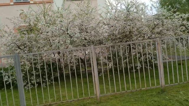 ВЛОГ ! Необычный случай на прогулке. ОБЗОР ПОДМОСКОВЬЯ. Как ЖИВУТ люди в маленьком ГОРОДКЕ. смотреть онлайн