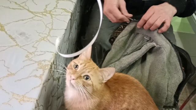 Переехали на юг/Сюрприз от ЛЮБИМОГО/Вкусный ОБЕД! смотреть онлайн