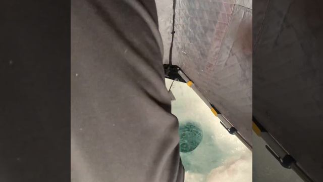36" LAKE SIMCOE LAKER смотреть онлайн