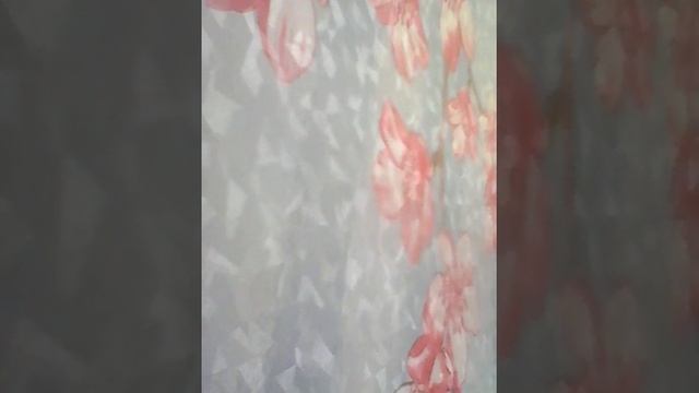 Что можно снять на камеру смотреть онлайн