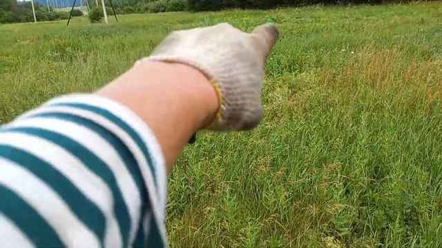 Нас погнали с копа!!! смотреть онлайн