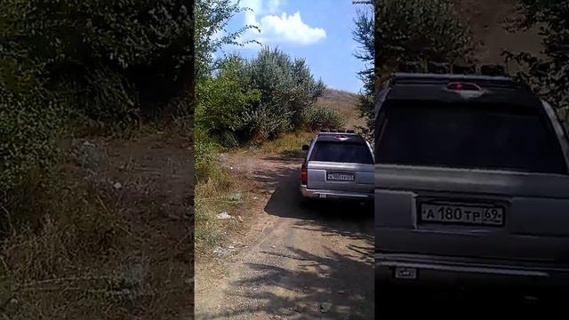 GREAT WALL SAFE смотреть онлайн