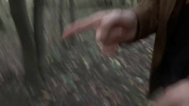 Трейлер: Гравити Фолз / НЕУДАЧНЫЕ КАДРЫ смотреть онлайн