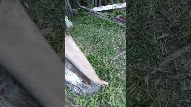 СтройТочка Зрения