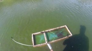 Ловля мотыля на струну. Живой корм для аквариумных рыб.