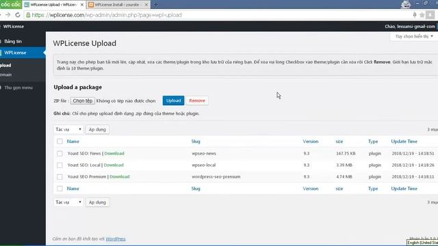 Cập nhật tự động theme và plugin wordpress. смотреть онлайн