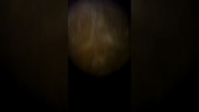 Морской Ёрш и морской Ёж смотреть онлайн