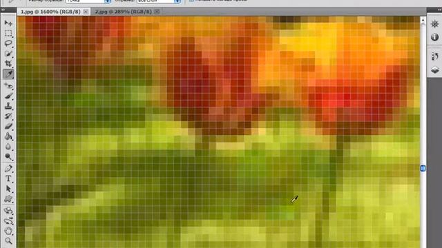 2. Что такое пиксели или изчего состоит картинка.avi смотреть онлайн