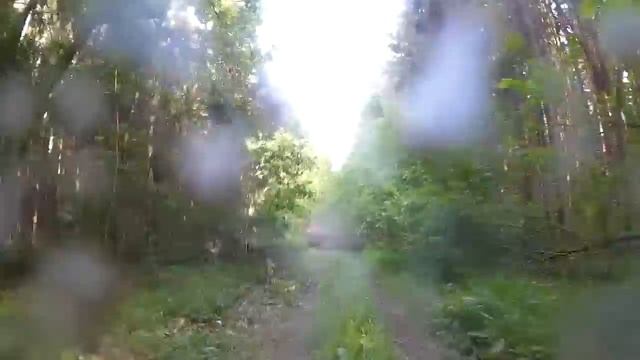 Лес скорость за Гепарде 650. Квадроперцы