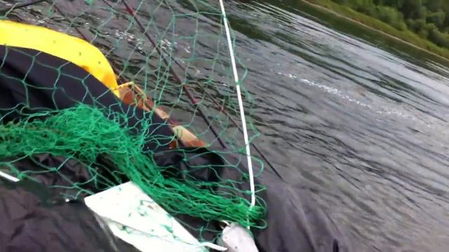 Как медведю нагнать жути смотреть онлайн