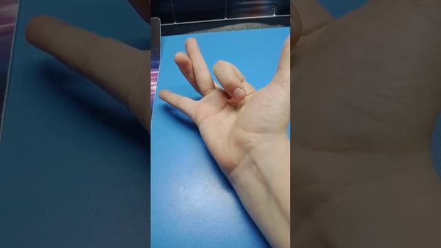 Тутор на страуса из пальцев смотреть онлайн