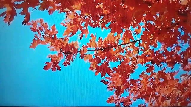 Авторская песна (стихи, музыка) Николая Салтыкова. исполняет автор и Любовь Салтыкова. смотреть онлайн