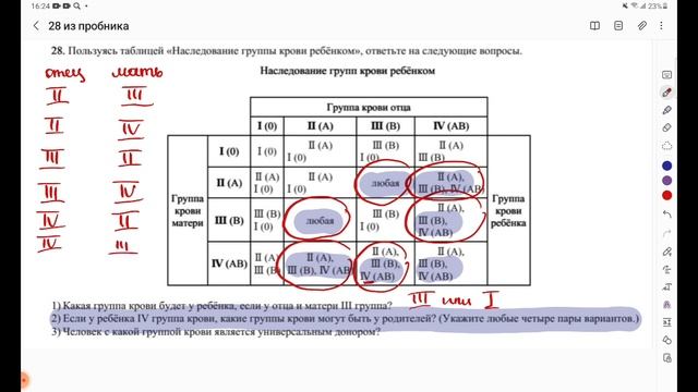 Группы крови ОГЭ биология смотреть онлайн