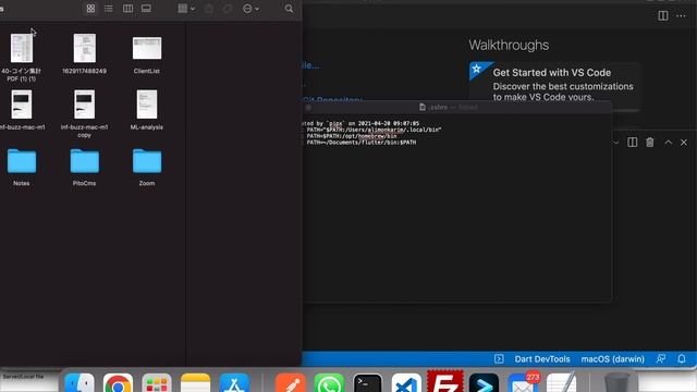zsh: command not found: flutter (Mac + VsCode) смотреть онлайн