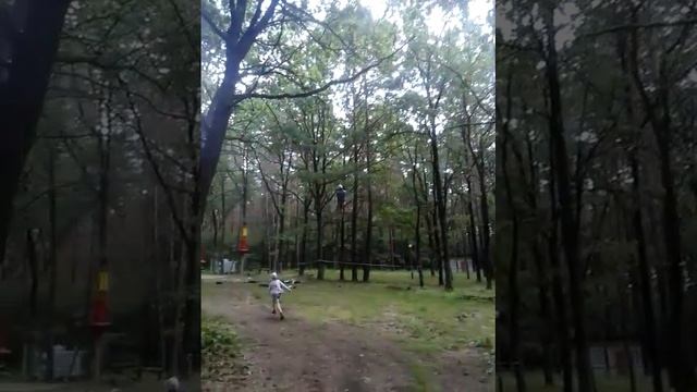 джунгли парк гродно трасса экстрим смотреть онлайн